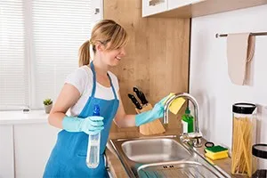 Maid services cleaning service preview